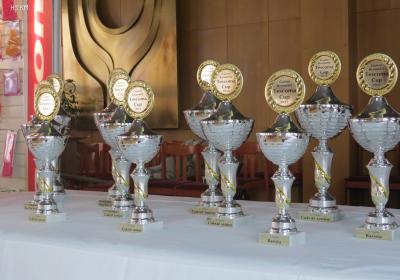 Gastro Kroměříž Tescoma Cup 2015