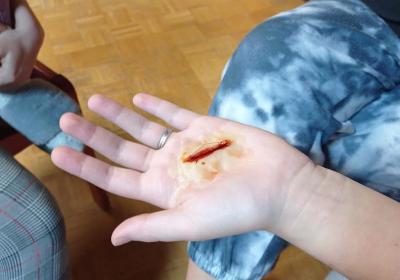 Červený kříž - kurz první pomoci 8.11. 2021